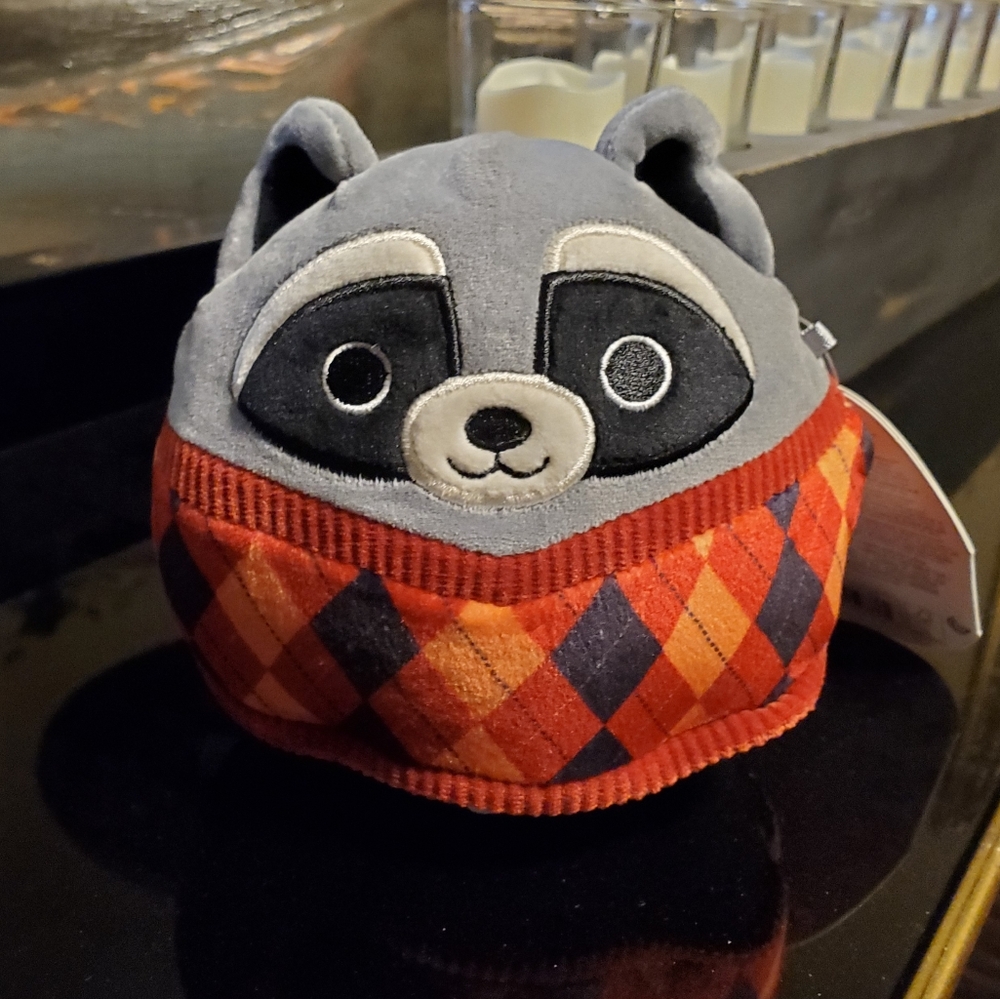 NWT Rocky, The Raccoon with sweater, 5" Squishmallows